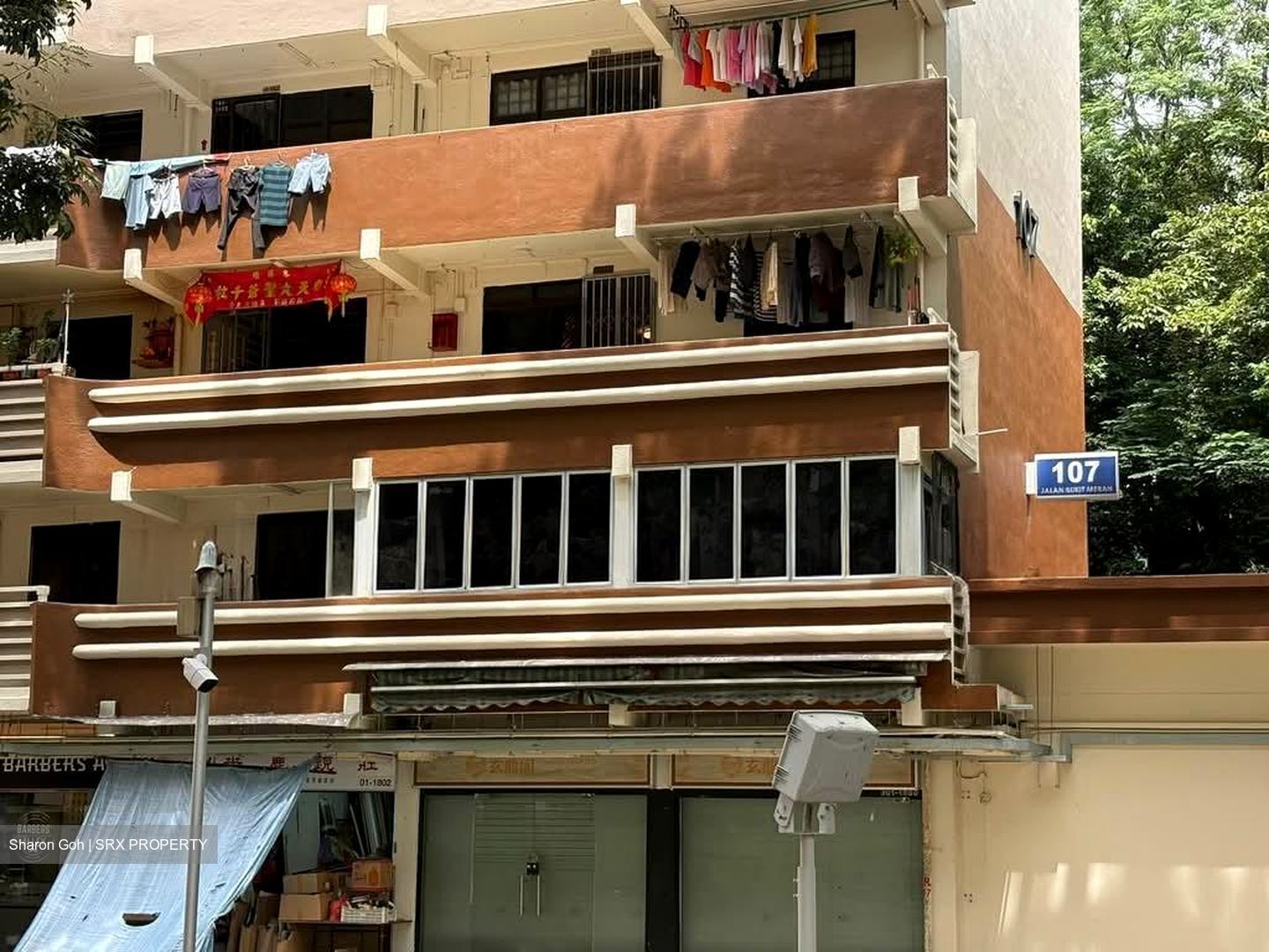 Tiong Bahru Orchid (D3), Shop House #566775211